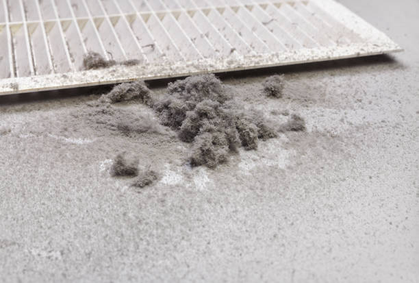 Best Ventilation Cleaning Services  in Linthicum, MD