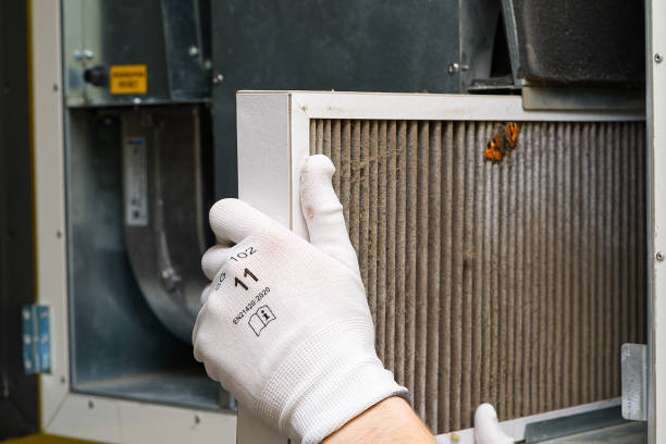 Best Home Air Vent Cleaning  in Linthicum, MD